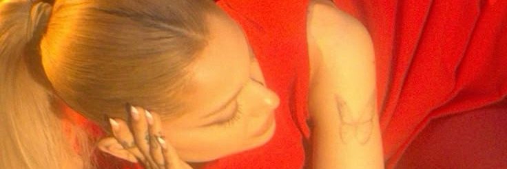 anti (laços de família novela do século banner