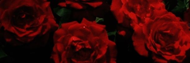 demoraIization's profile banner image