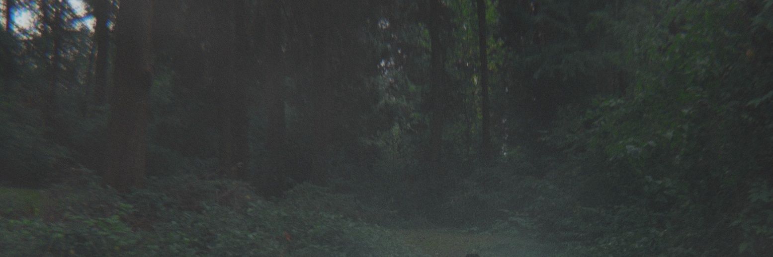 Jesk banner