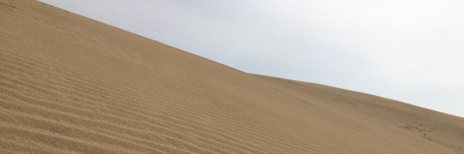 ぶぶんぶんけんぶんかい🍠🦀 banner