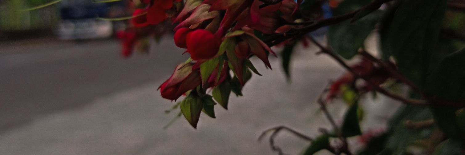 dlvpen's profile banner image