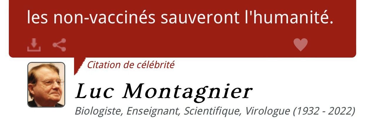 David L'Hermitte (@DSdaaaar7874) / Posts / X