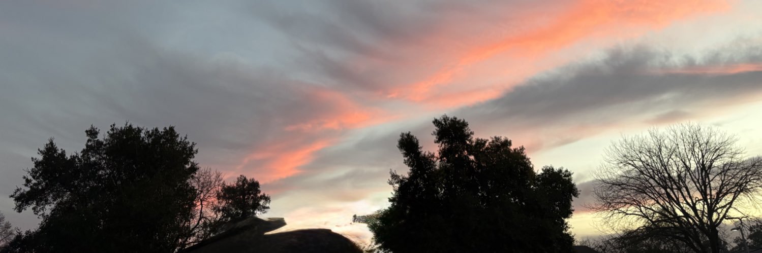 Leslie Mercer banner