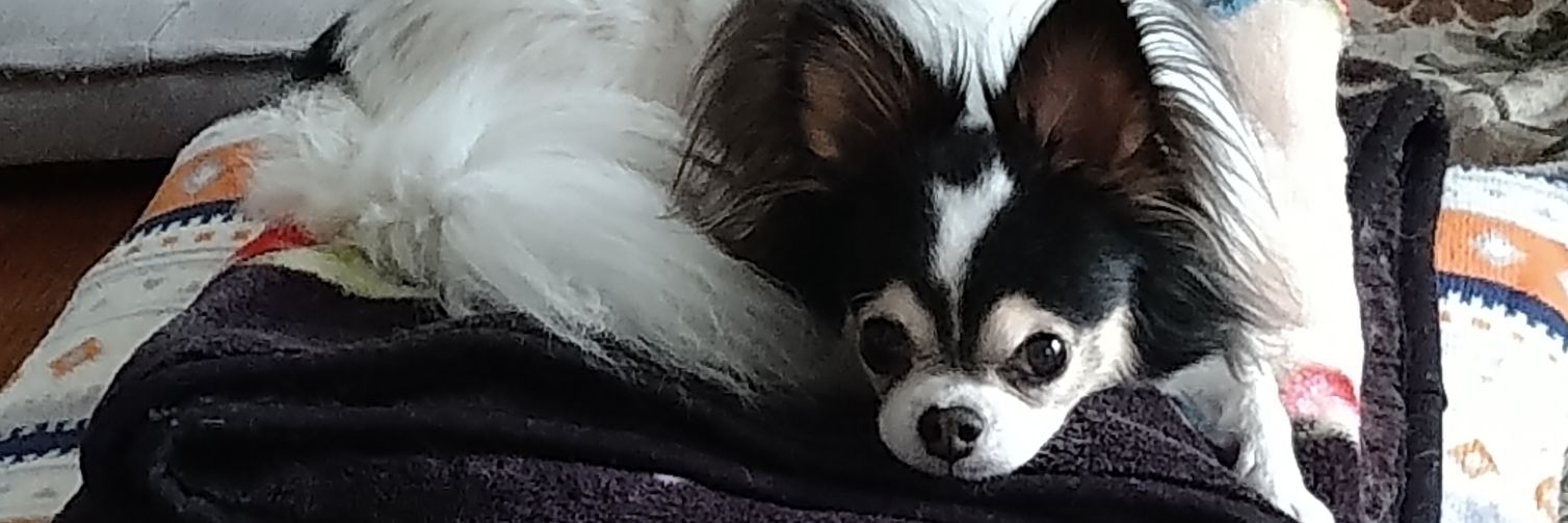 hiro banner