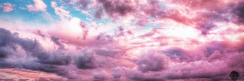 Bess Parkhurst banner