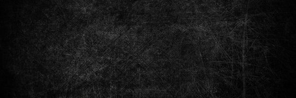 BorderCritical Profile Banner