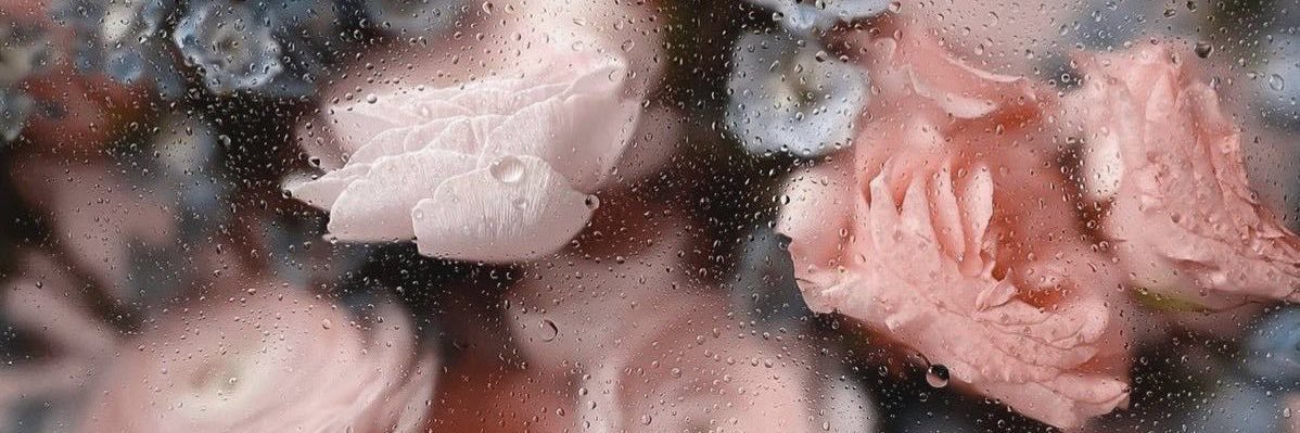 sakurai613's profile banner image