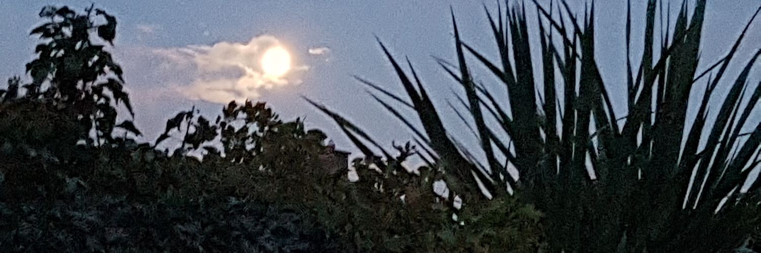 brackendanielle's profile banner image