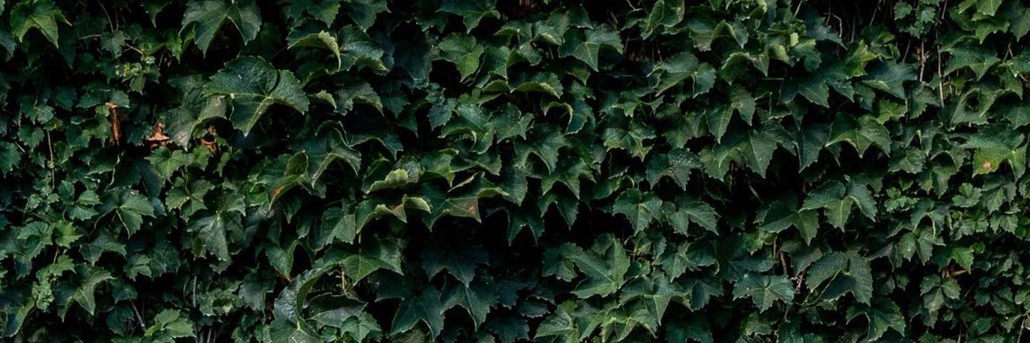 Matt Zuffante banner