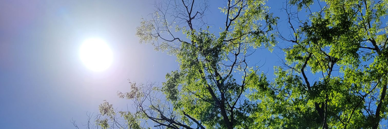 osiniaimasu's profile banner image