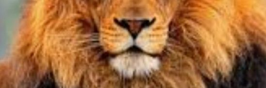 efrain44964635's profile banner image