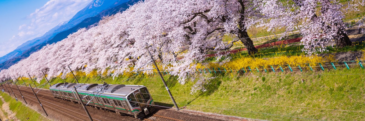 LIVEENカルチャーニュース banner