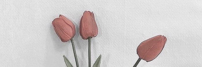 ne banner
