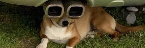 MarshallMugari's profile banner image