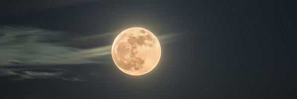 chao8840 Profile Banner