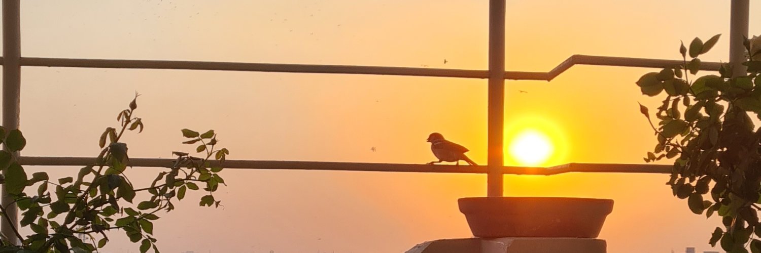 NeamaAFarooqi's profile banner image