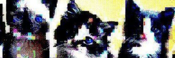 PitoRebelde's profile banner image