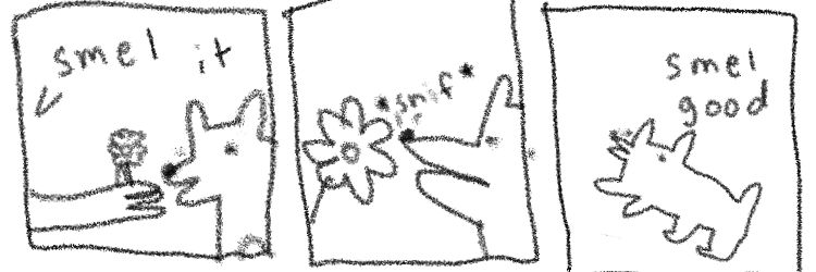 🐢 mode: Bartholomew Berzzato banner