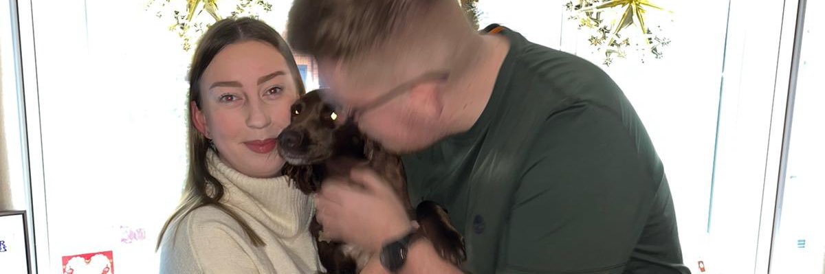 katietodd01's profile banner image