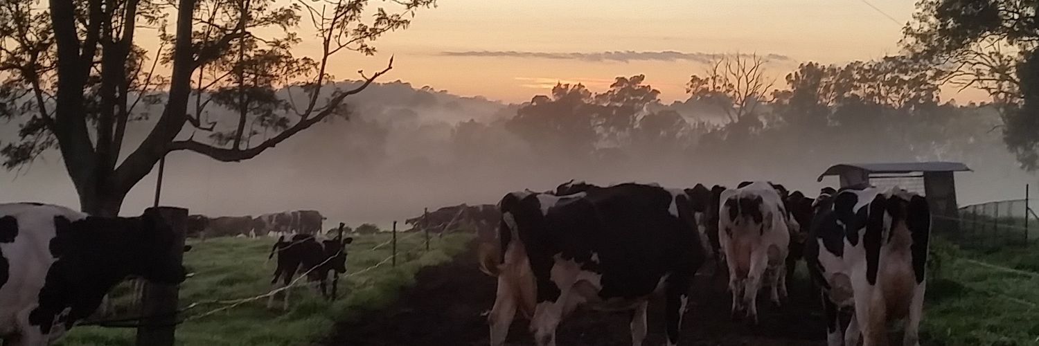 AlisonGermon's profile banner image