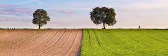 Hola, die Waldfee banner