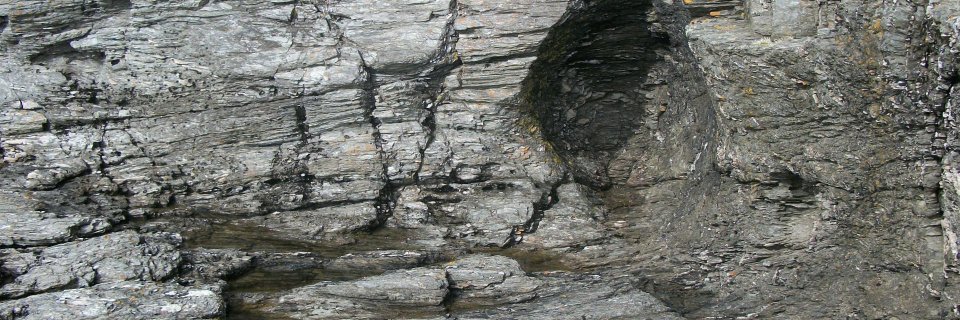 TheLongleysD's profile banner image
