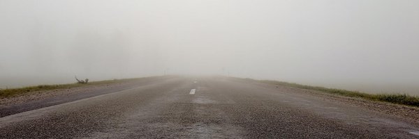 chompomonim Profile Banner