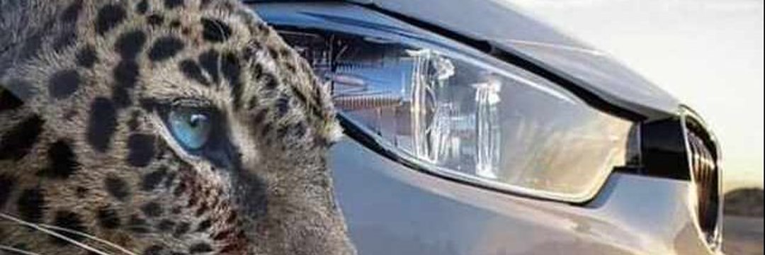 RAD. Abu Bakr banner