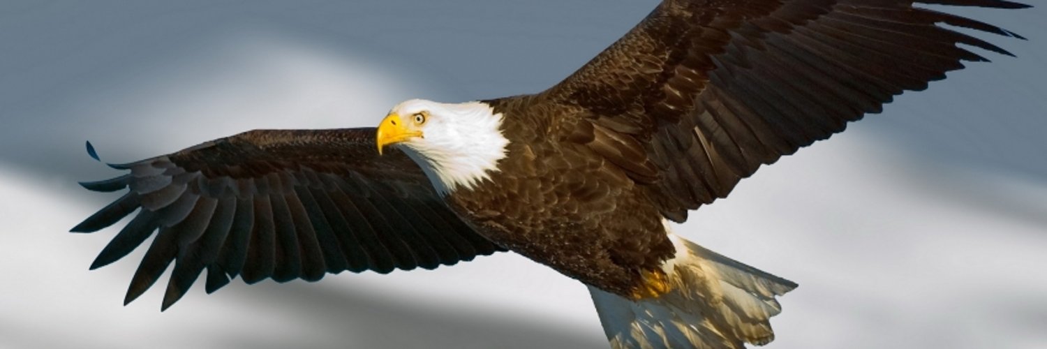 VenkatFxtein's profile banner image