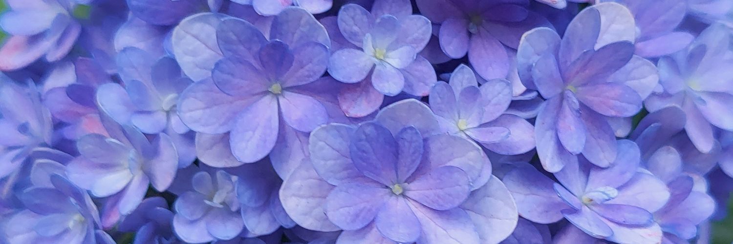 nokia_roxanel's profile banner image