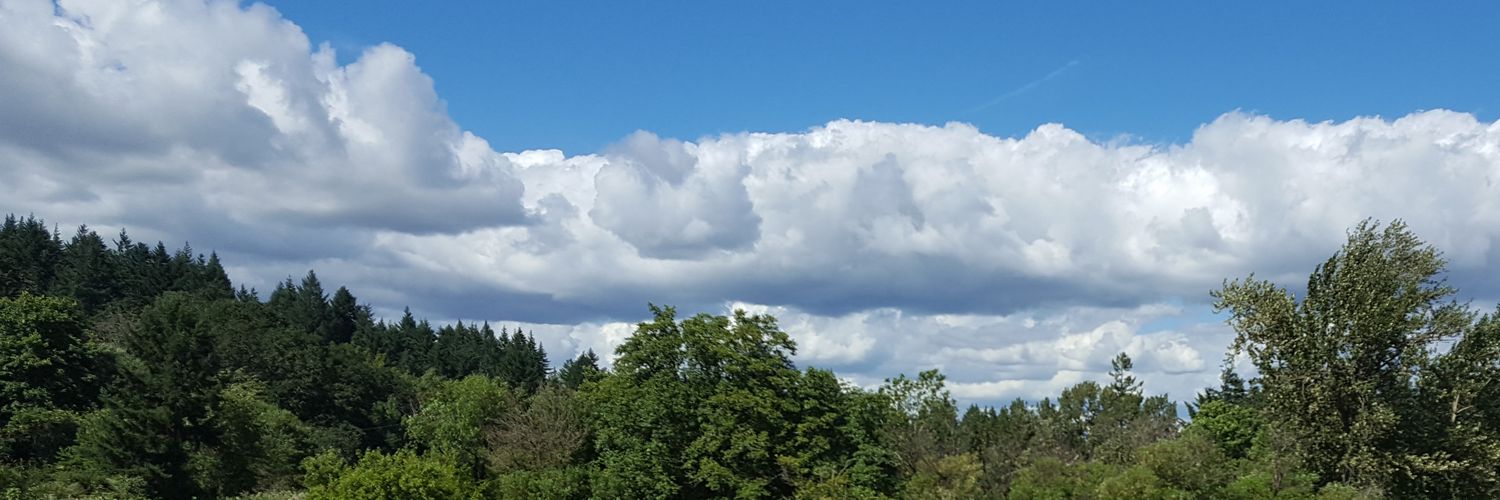 dankleman's profile banner image