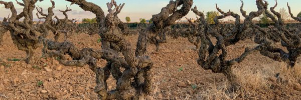 OurOldVines Profile Banner