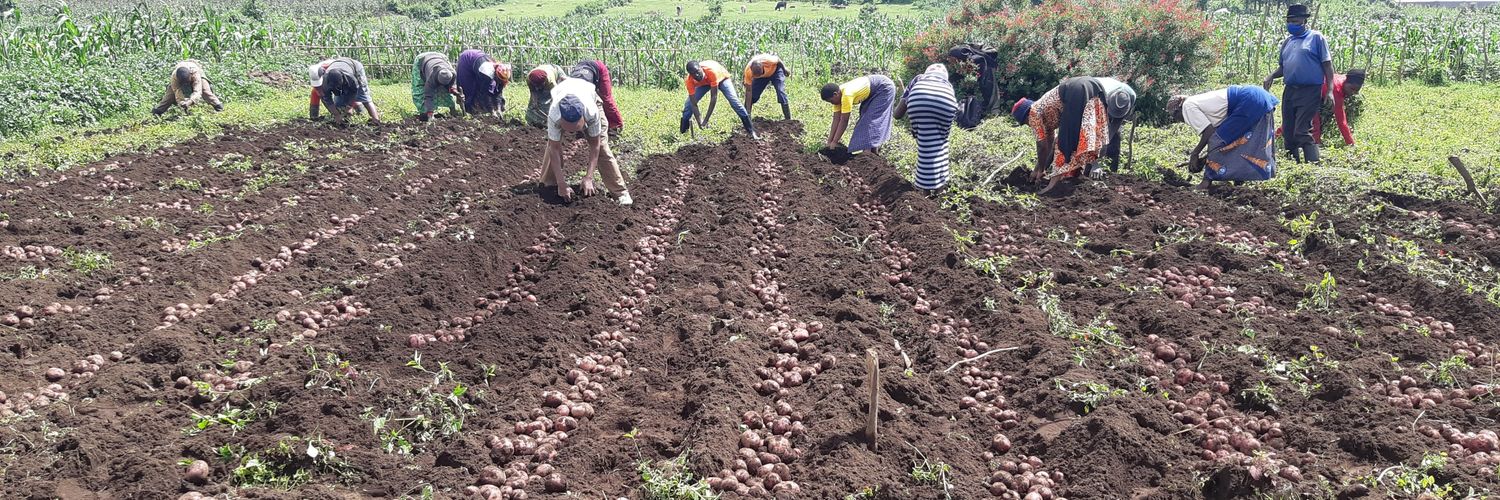 Farmers' Potato Academy (FPA) in Rwanda banner