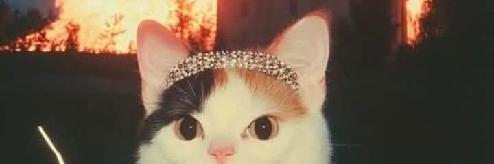 Dryavka's profile banner image