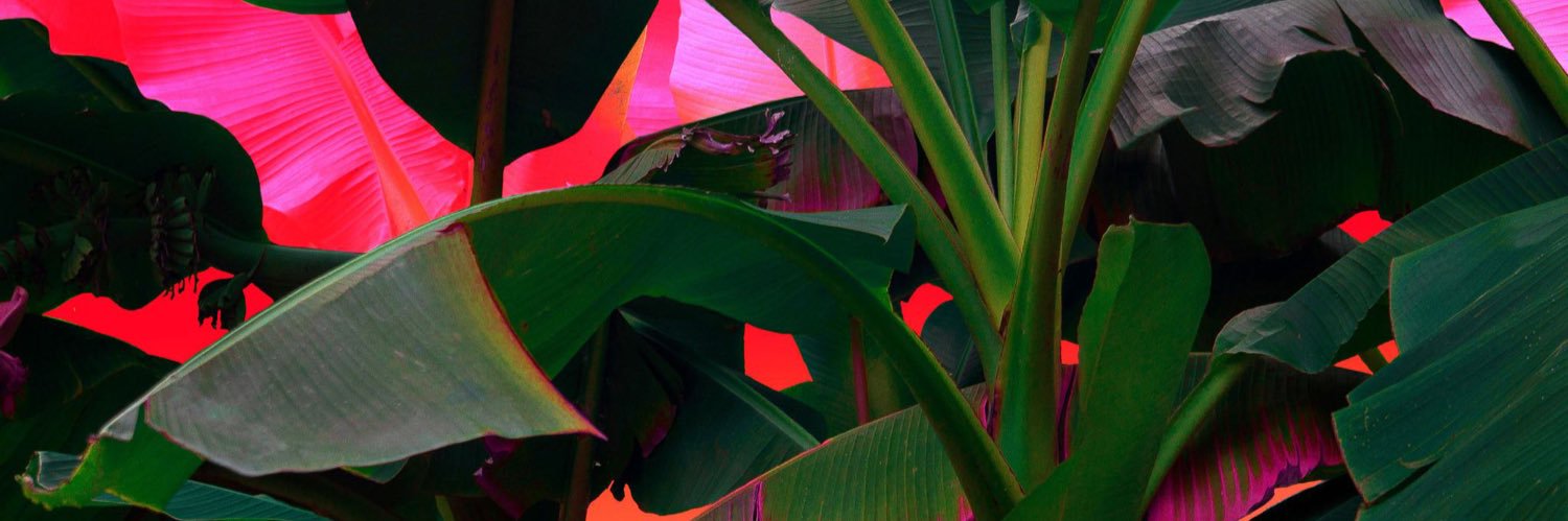 PSyRXEeee's profile banner image