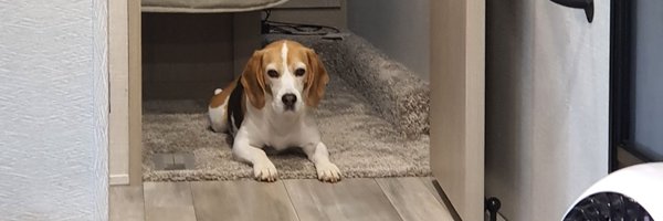 MePan13 Profile Banner