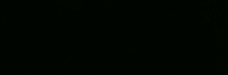 tumat4hol's profile banner image