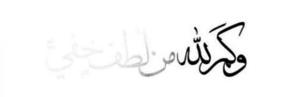 shrokashraf's profile banner image