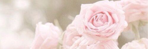 B of Beauty's banner