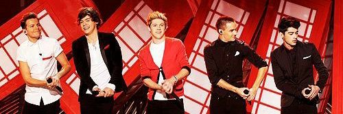 Amanda | 1D Remember banner