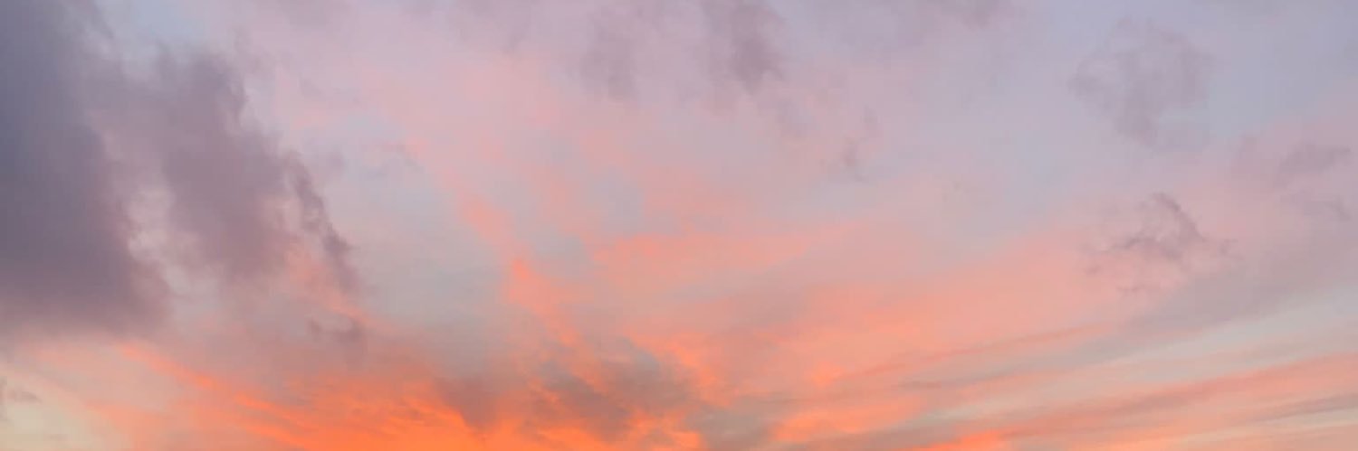 mar__vidaal's profile banner image
