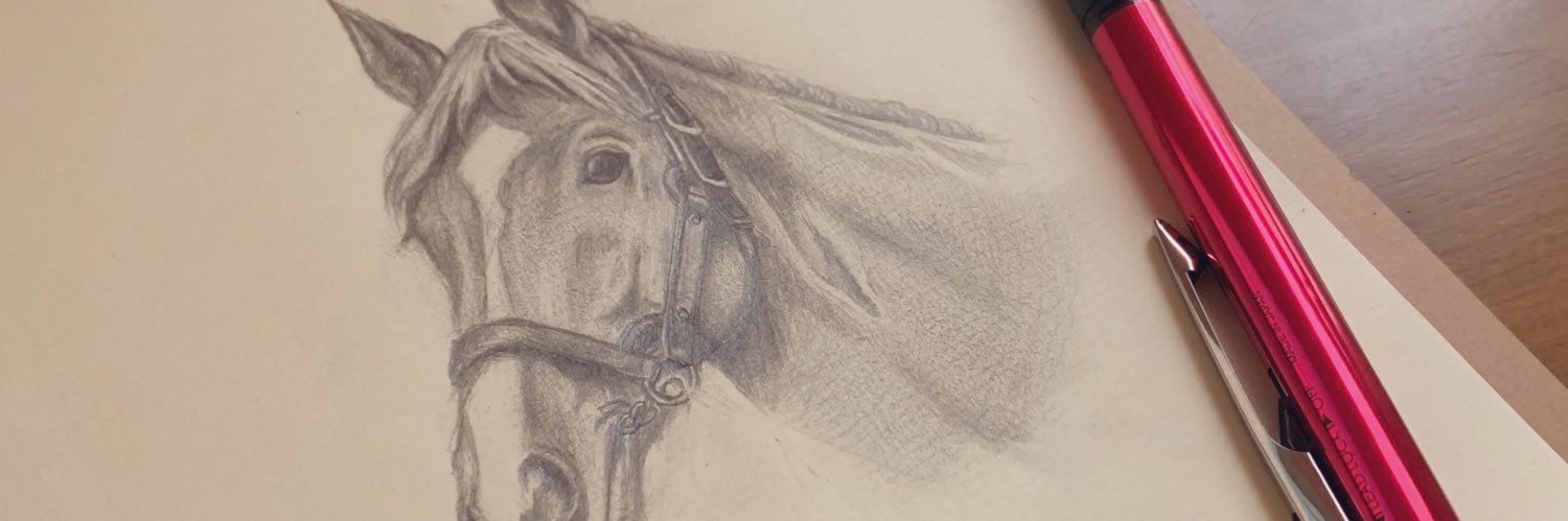 laxpu109's profile banner image