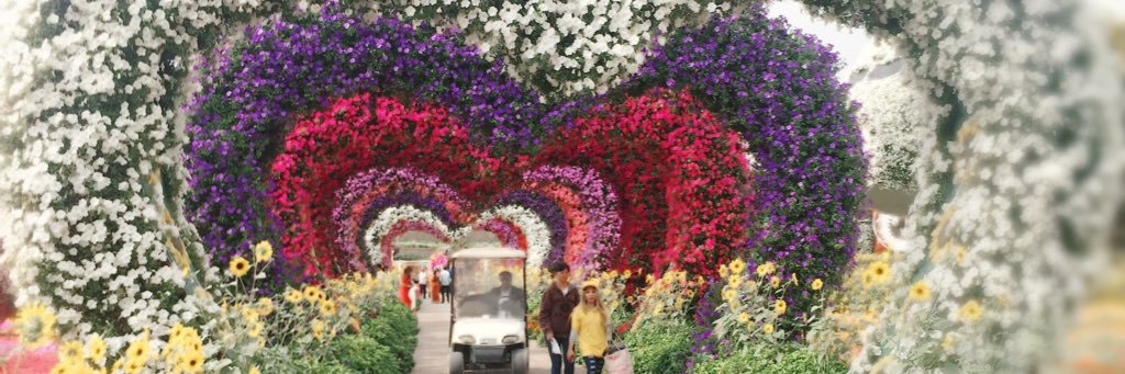jojo9876511's profile banner image