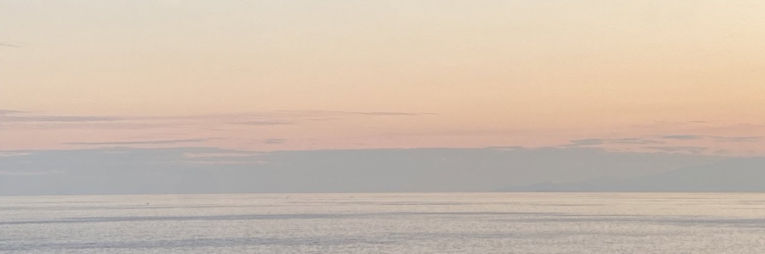 puu_pink's profile banner image