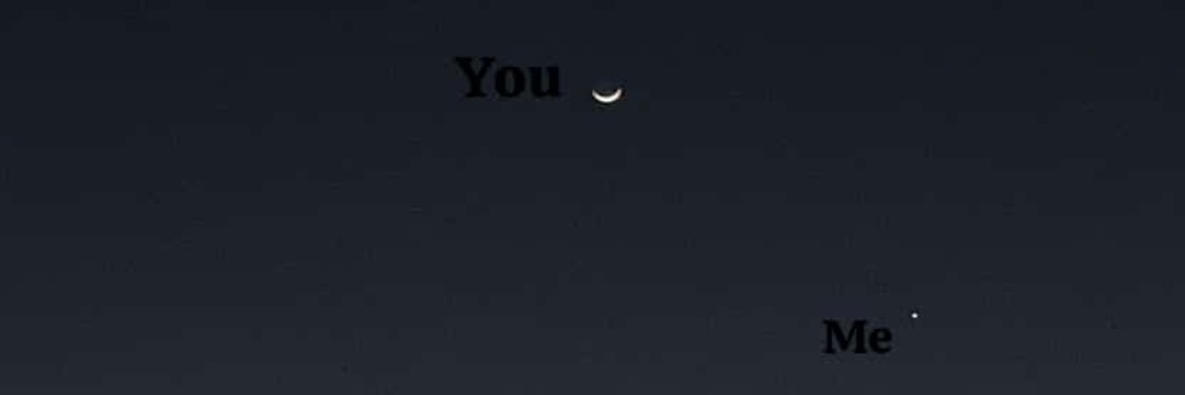 🕊️ banner