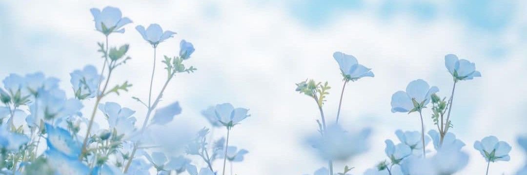 •rachel• くろ banner
