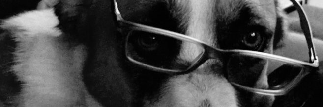 LandotheonlyDog's profile banner image