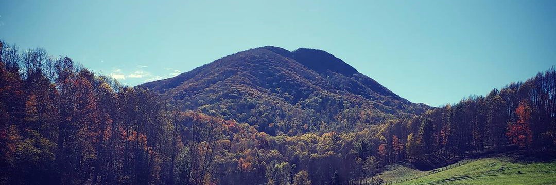 AppStateAppStudies banner