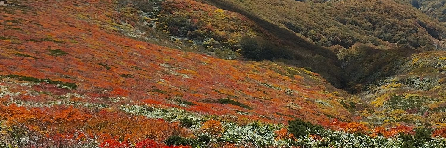 countryfp's profile banner image