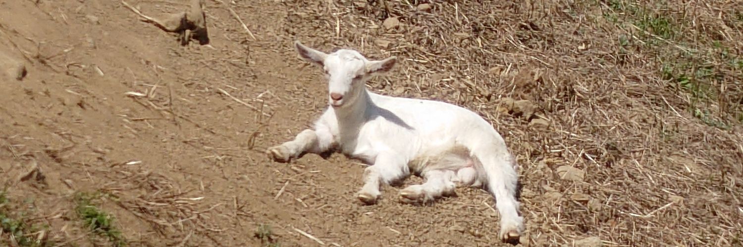 ぎっくり腰良くなってきた banner